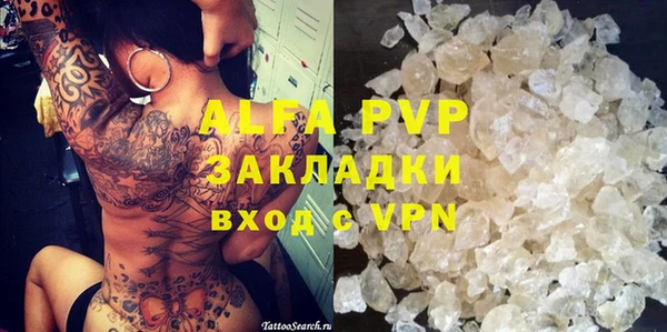 гидра Алексин