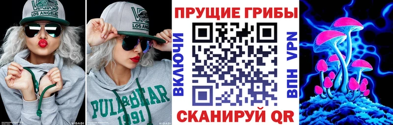Галлюциногенные грибы Psilocybine cubensis  Купить  Котельниково 